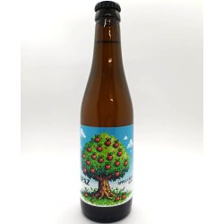 Bicycle Cider: 3-i-1 bundle